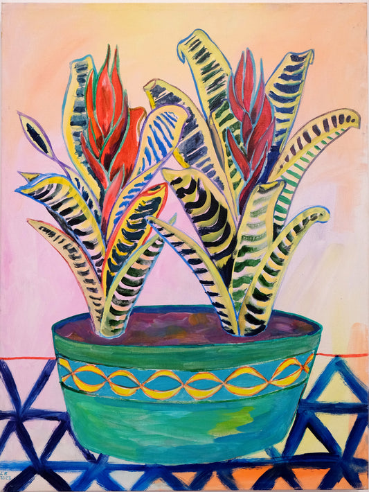 21 Bromeliads