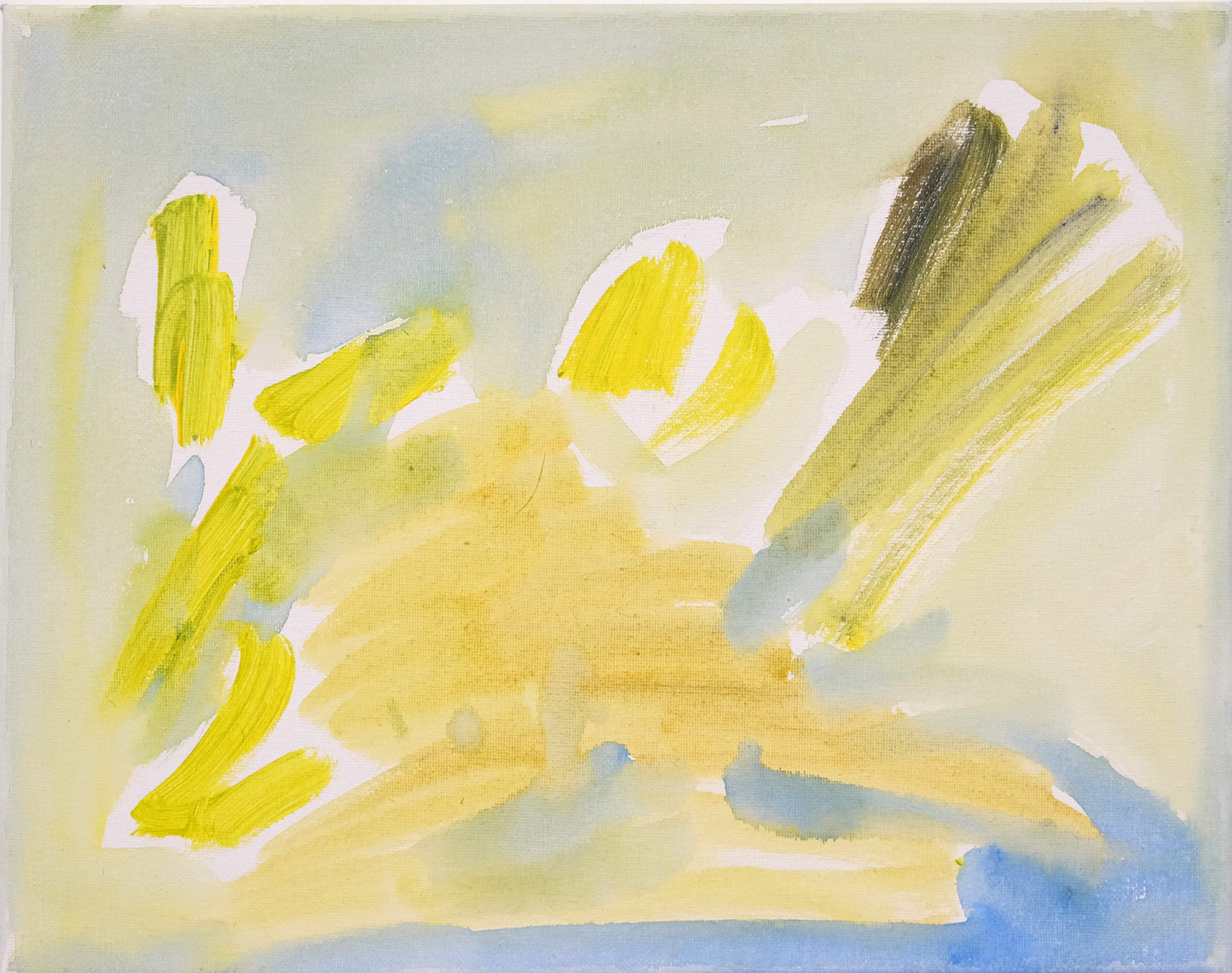 30 Night blooming cereus study