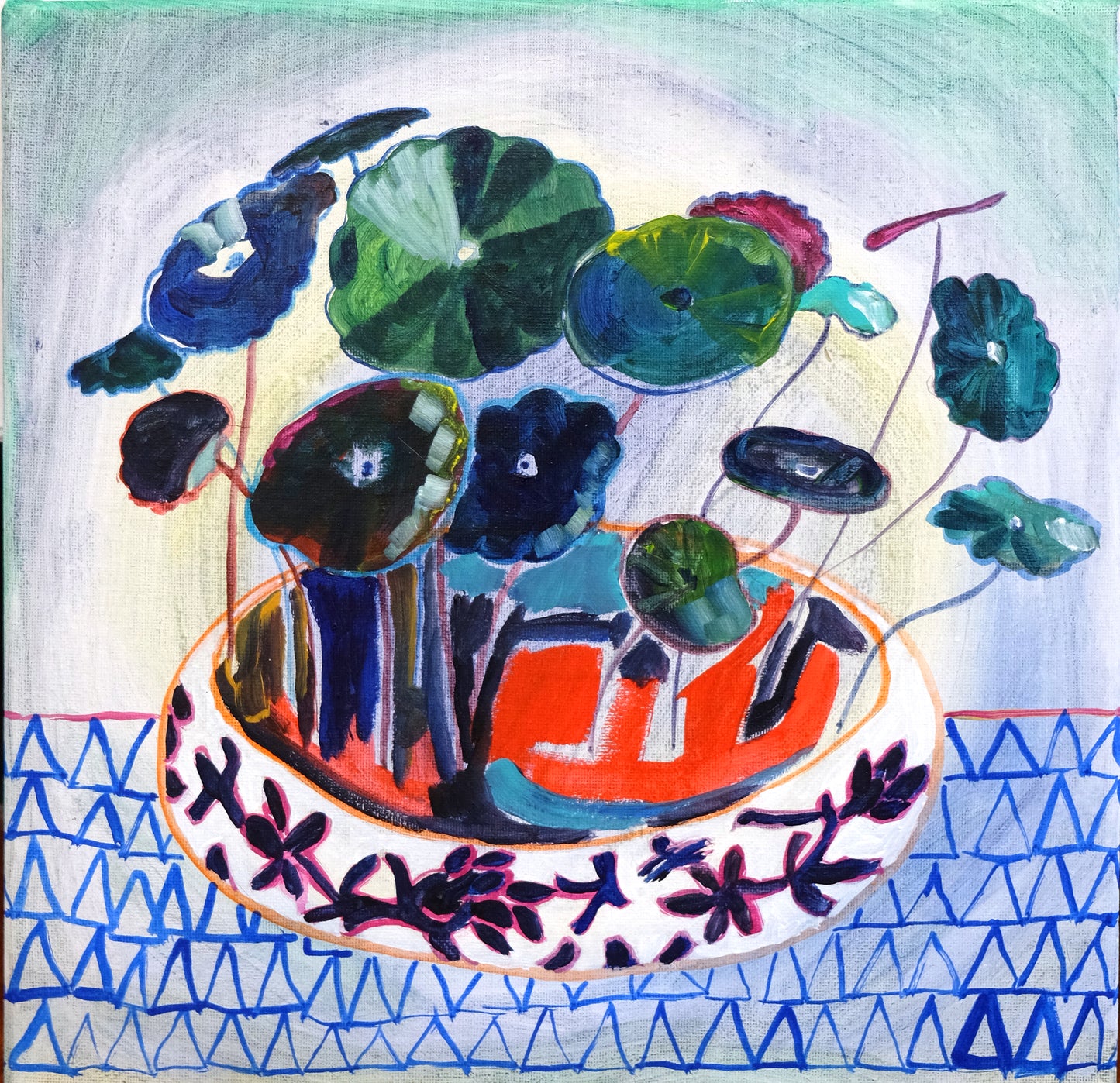 6 The little coin plant