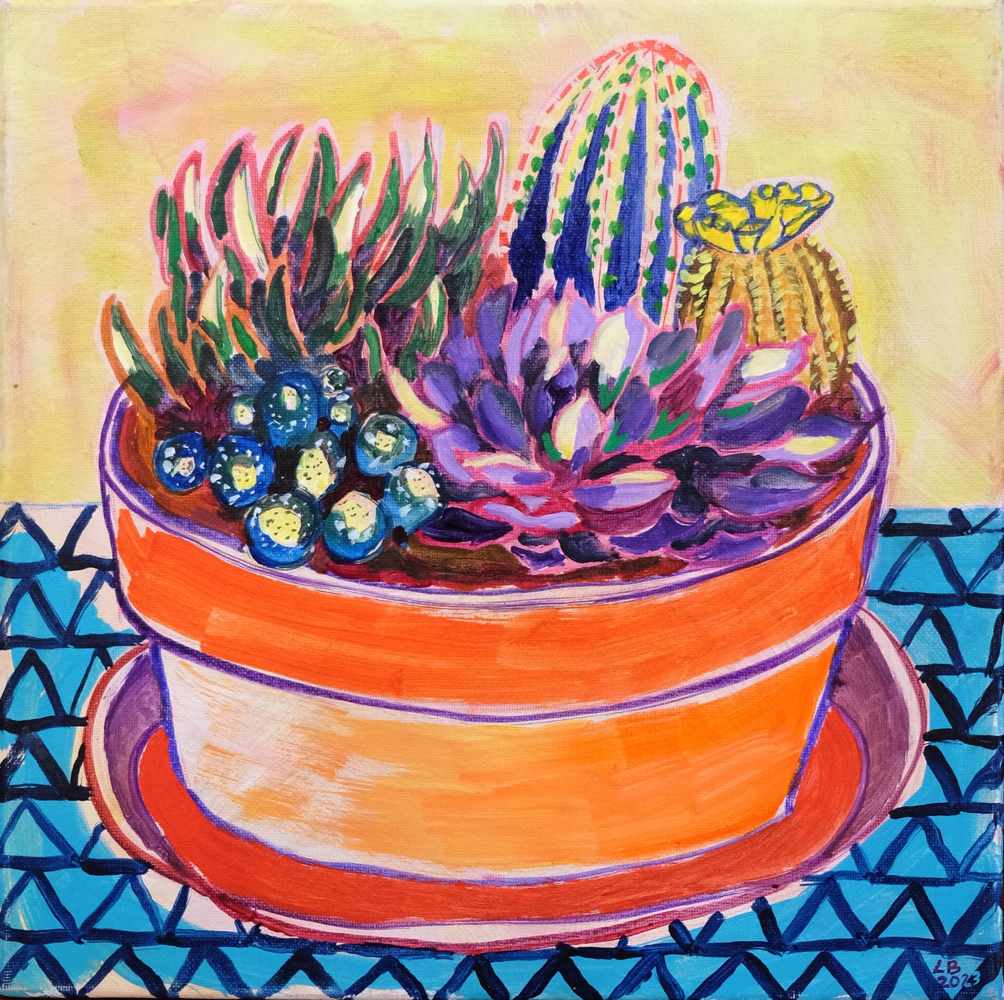 7 Cactus with terracotta pot