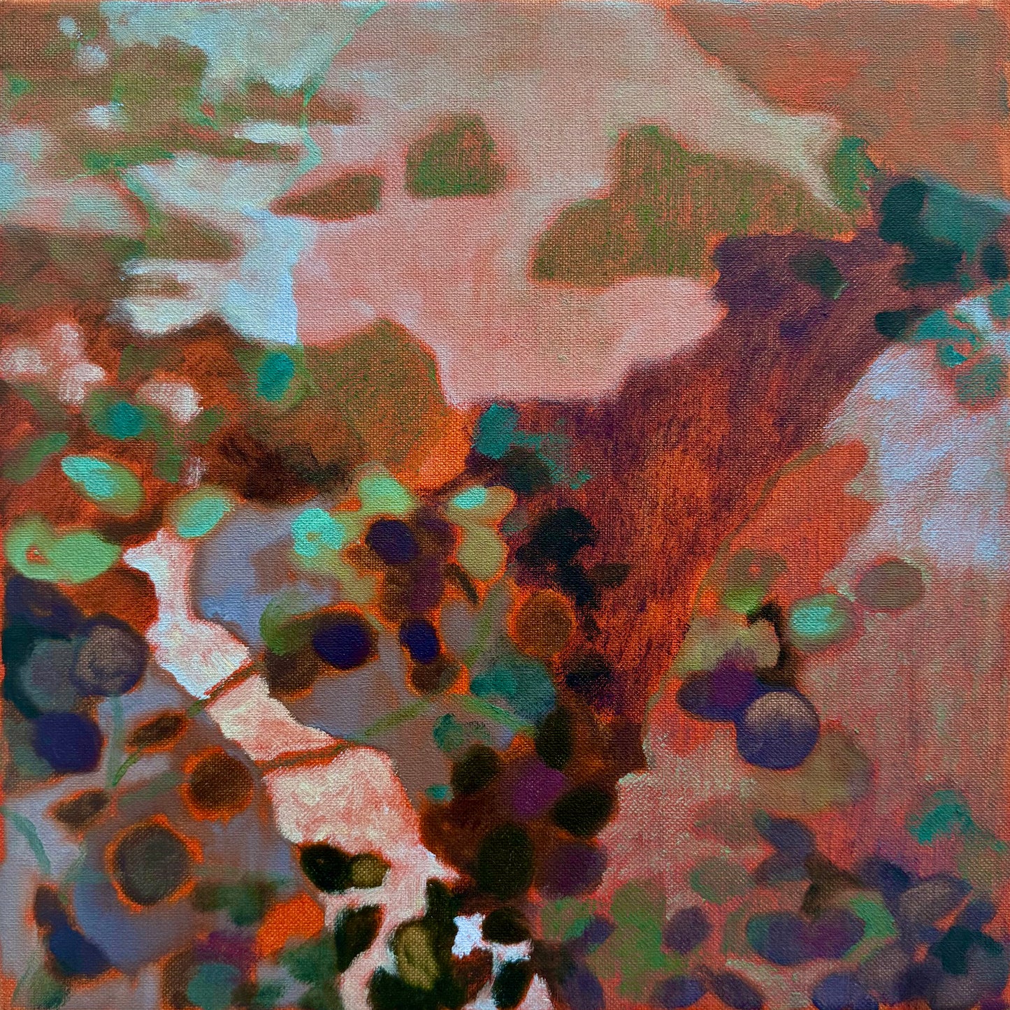BayGrapes