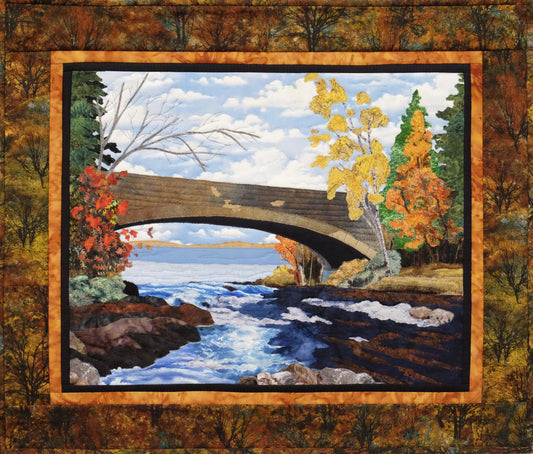 Bog River Falls, Tupper Lake, N. Y.