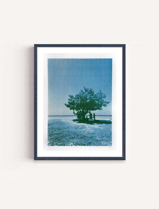 Summer Shade (Unframed)