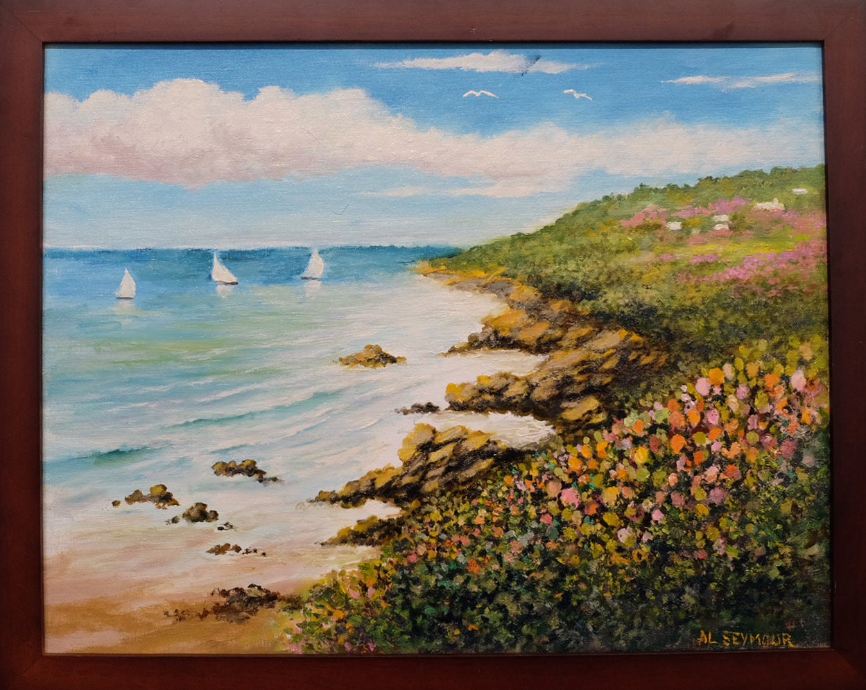 South Shore, Bermuda