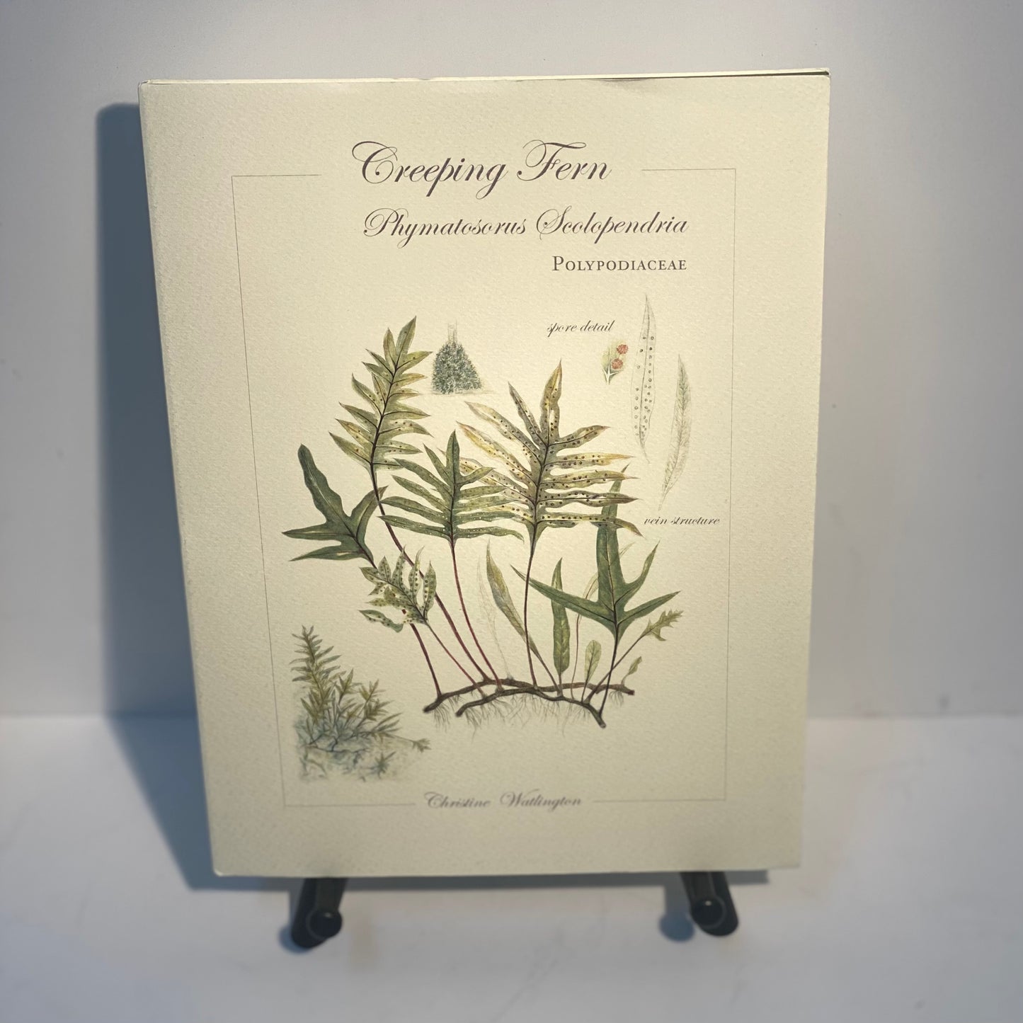 Italian Paper Artbook