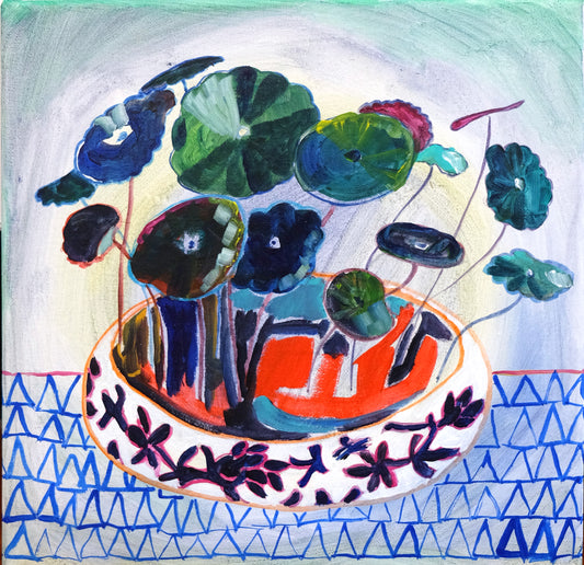 6 The little coin plant