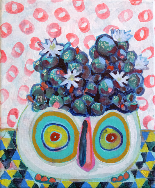 13 The little owl cactus