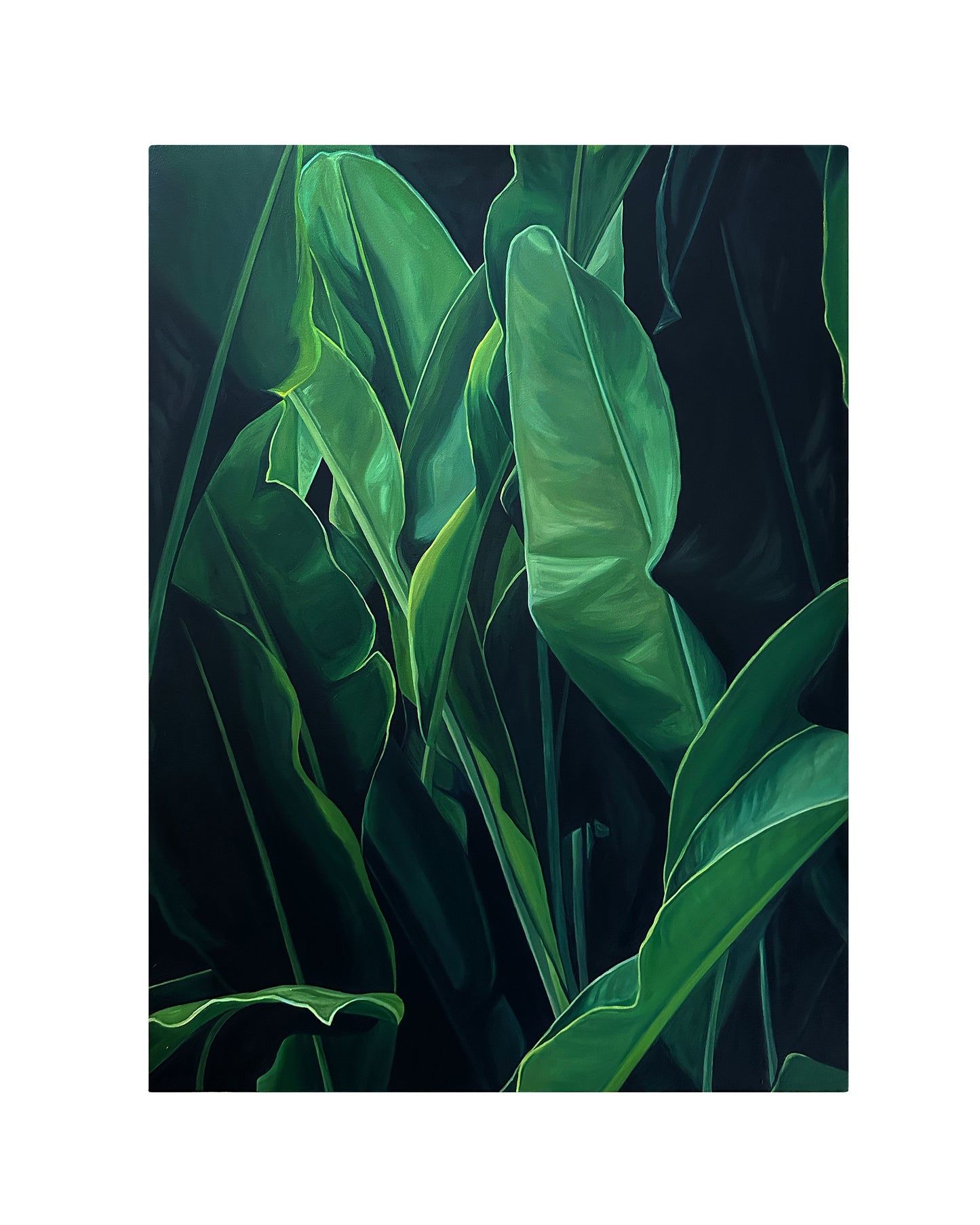 The Leaves Know Midnight