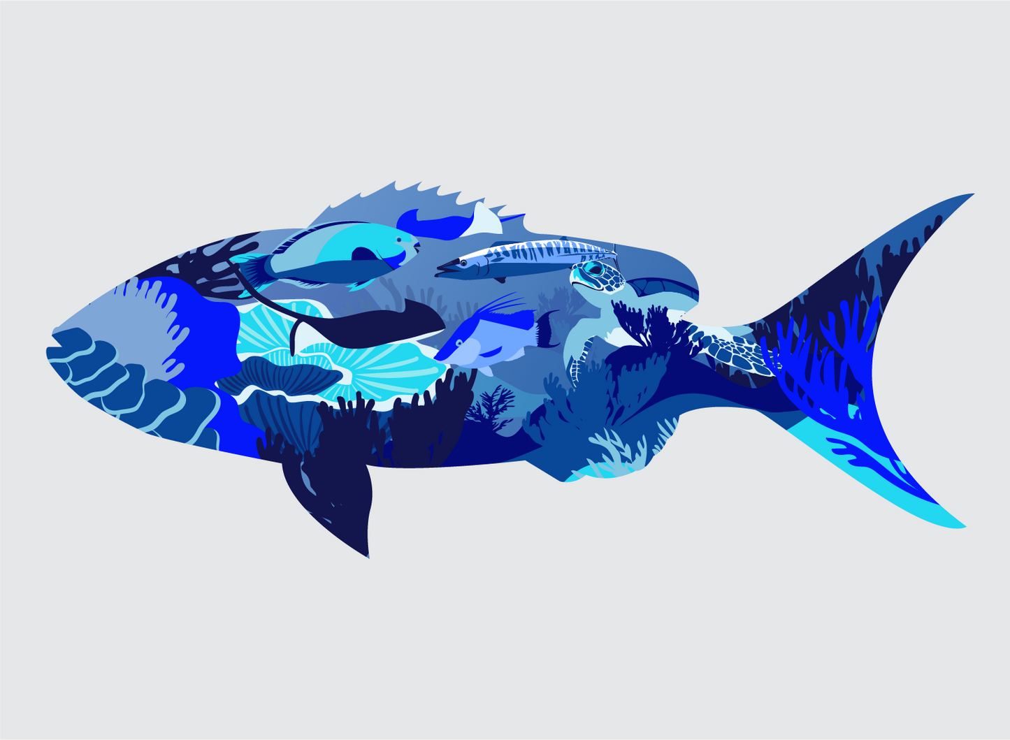 Local Catch