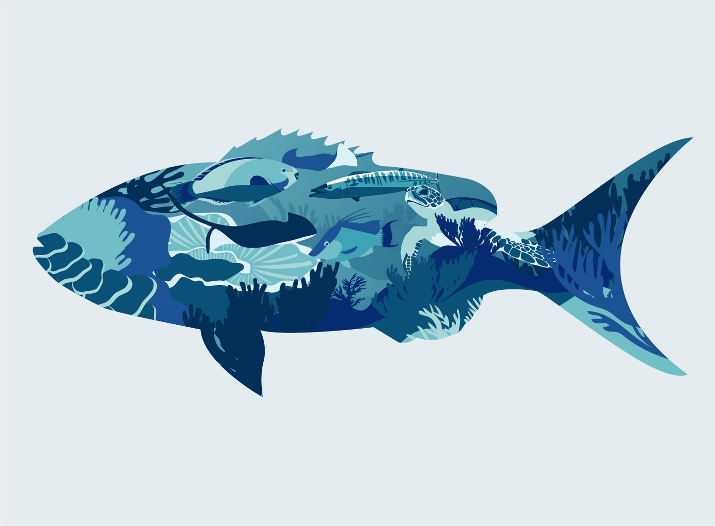Local Catch
