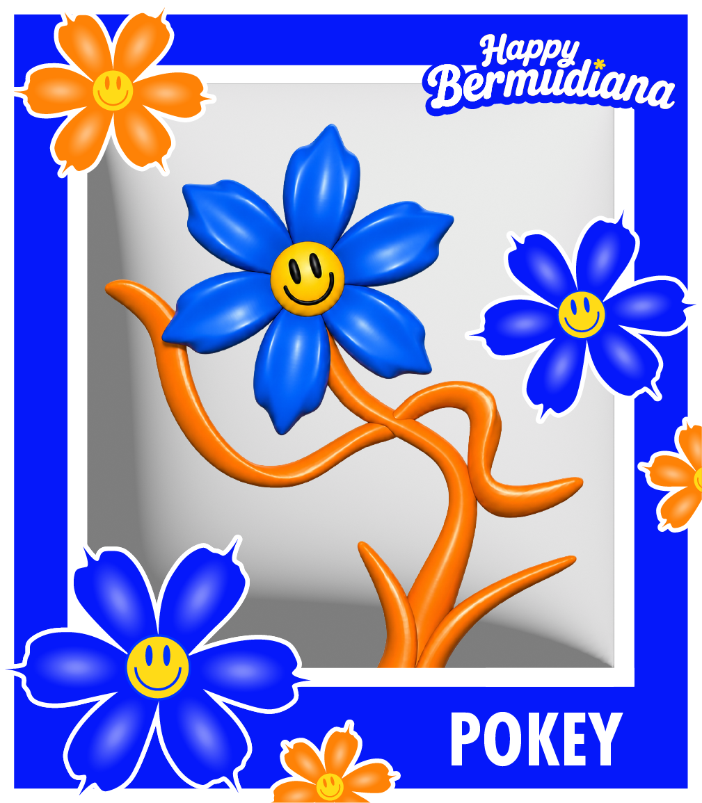 Pokey Bermudiana