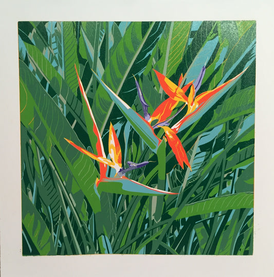 Alex Allardyce, Print, Bird of Paradise