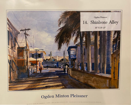 #14 Shinbone Alley