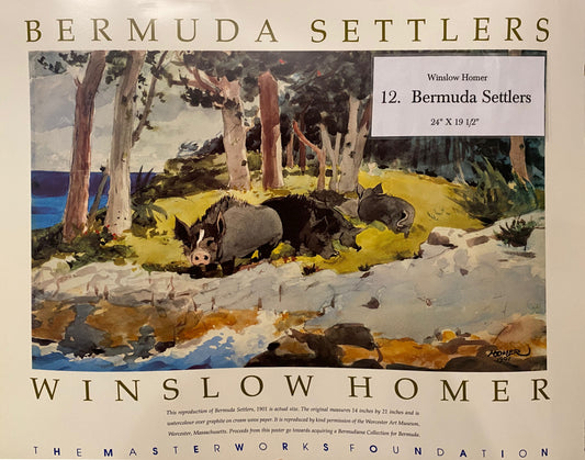 #12 Bermuda Settlers